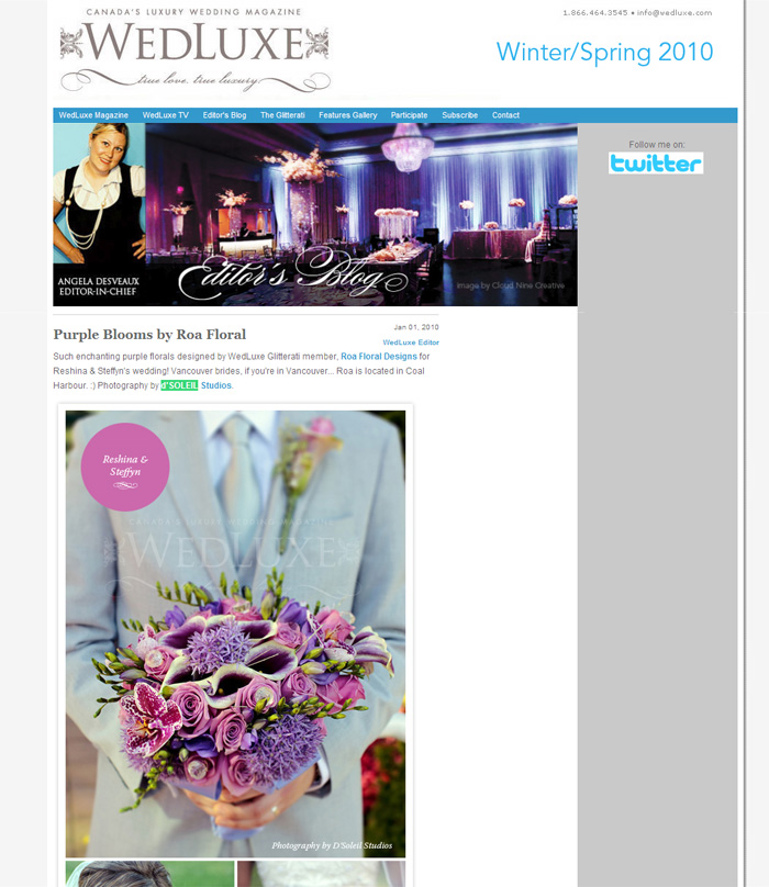 d'Soleil Studios on Wedluxe Magazine Blog - Winter 2010 d'Soleil Studios on Wedluxe Magazine Blog - Winter 2010