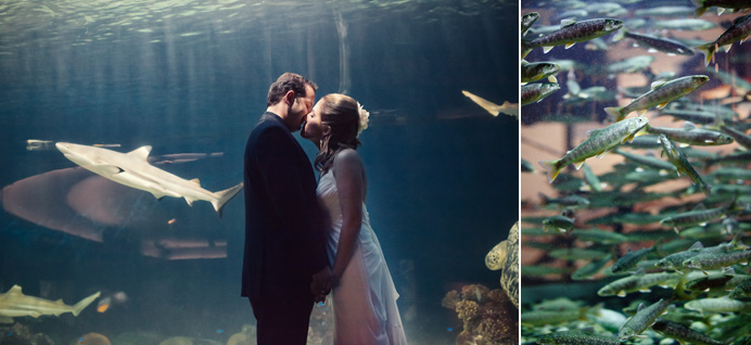 Vancouver Aquarium wedding photos Vancouver Aquarium wedding photos