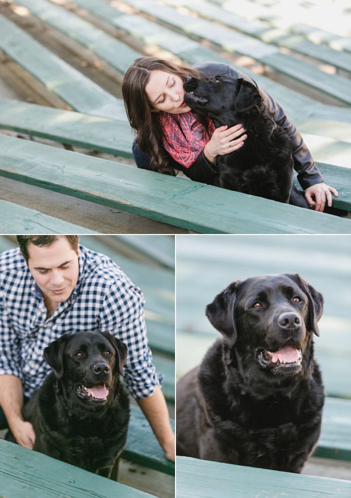 family with dog portraits