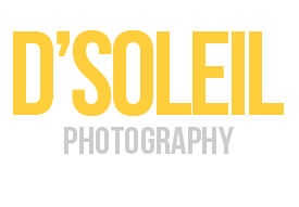 Vancouver wedding photographers blog by d'Soleil Studios logo