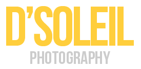 Vancouver wedding photographers blog | d'Soleil Photography logo